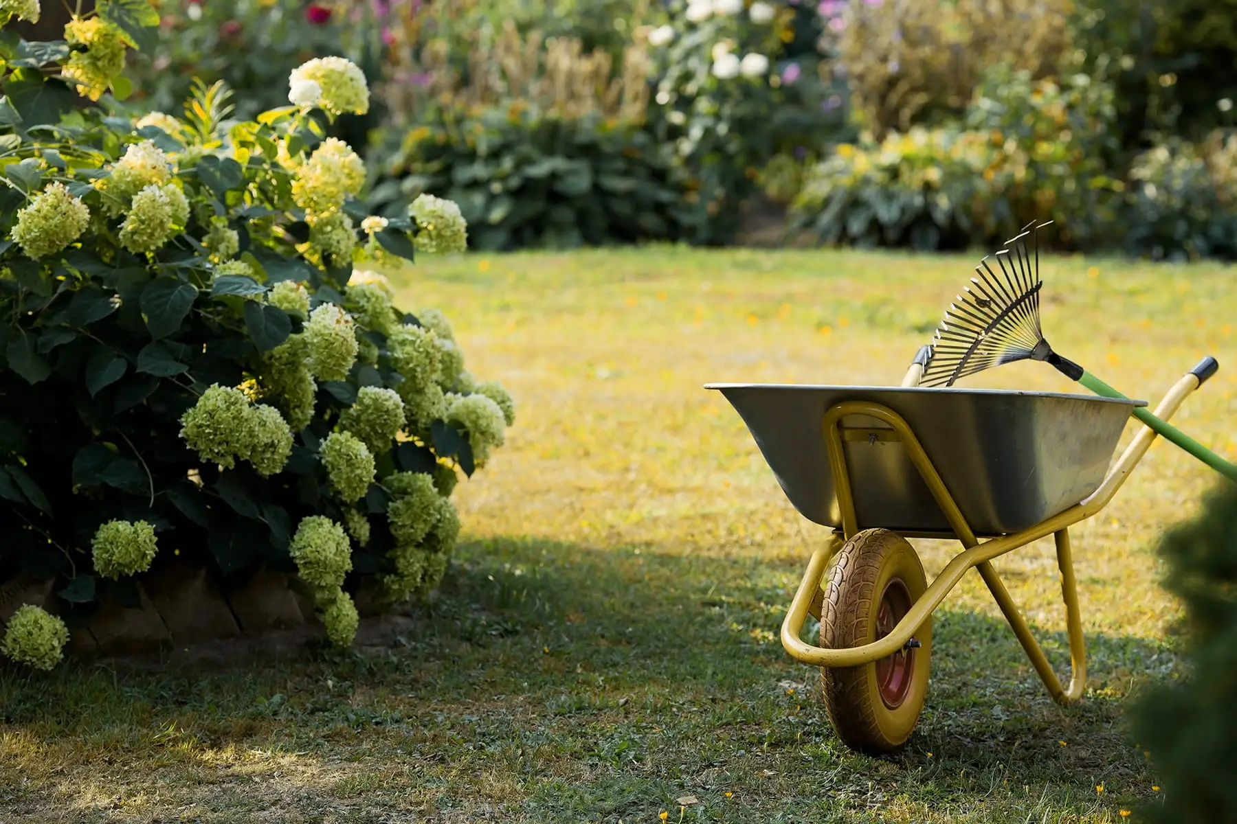 Yard Debris Removal
