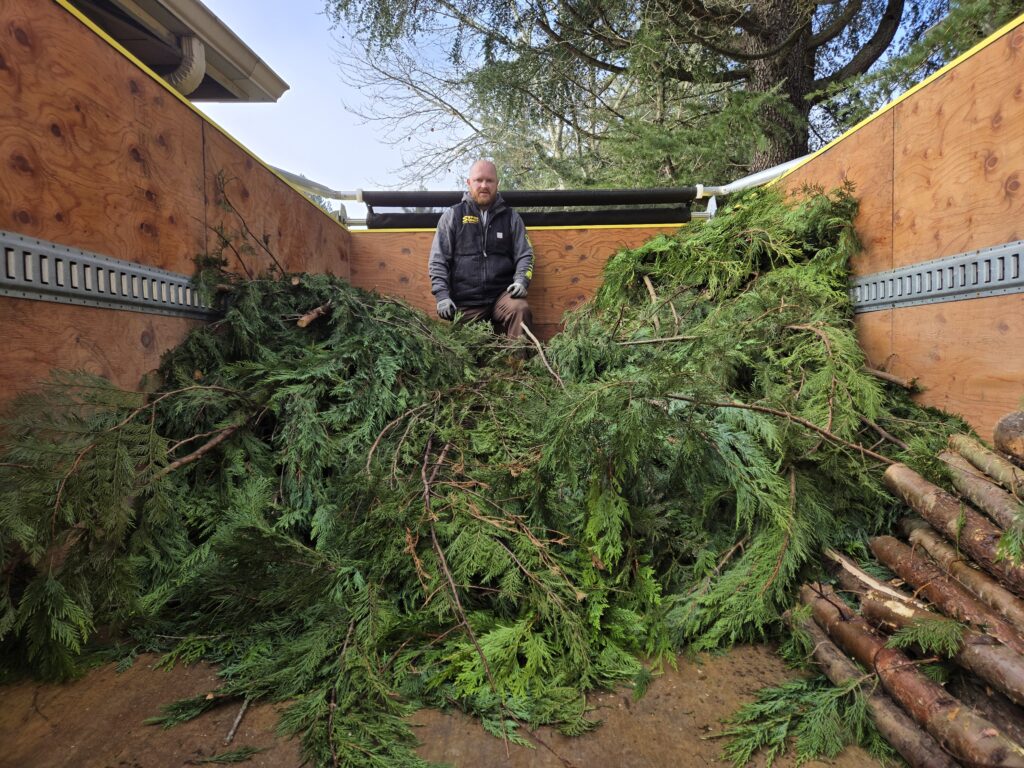 Tree Branch Removal in Black Diamond WA