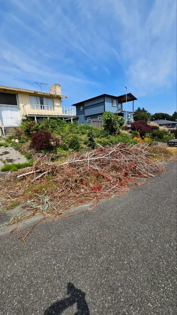 Branches piled along the road after Branch Removal Tacoma service.