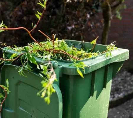 Yard Debris Removal in garden in Seattle Area